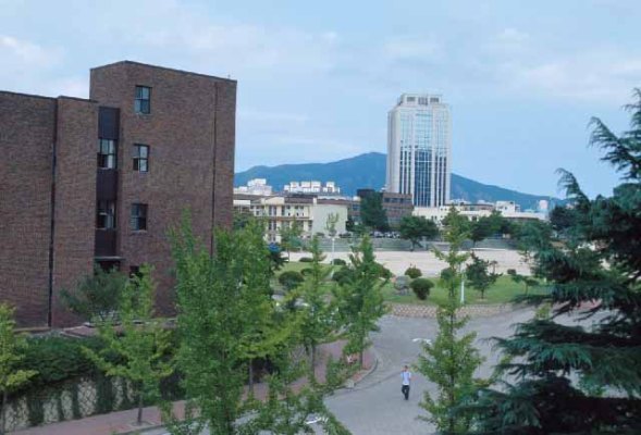 Trường Đại học Busan