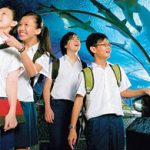 duhoche 150x150 - Quà tặng lên đến 5 triệu du học hè Singapore 2011