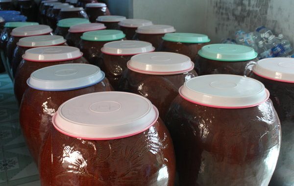 Du lịch Phú Quốc, thăm Cơ sở chế biến rượu sim đặc sản ruou sim - Du lịch Phú Quốc, thăm Cơ sở chế biến rượu sim đặc sản