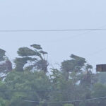 Cập nhật tin thế giới về Siêu bão Sinlaku